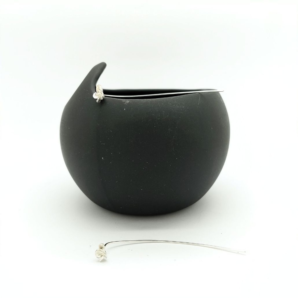 Coquelicots - BO Longue tige L