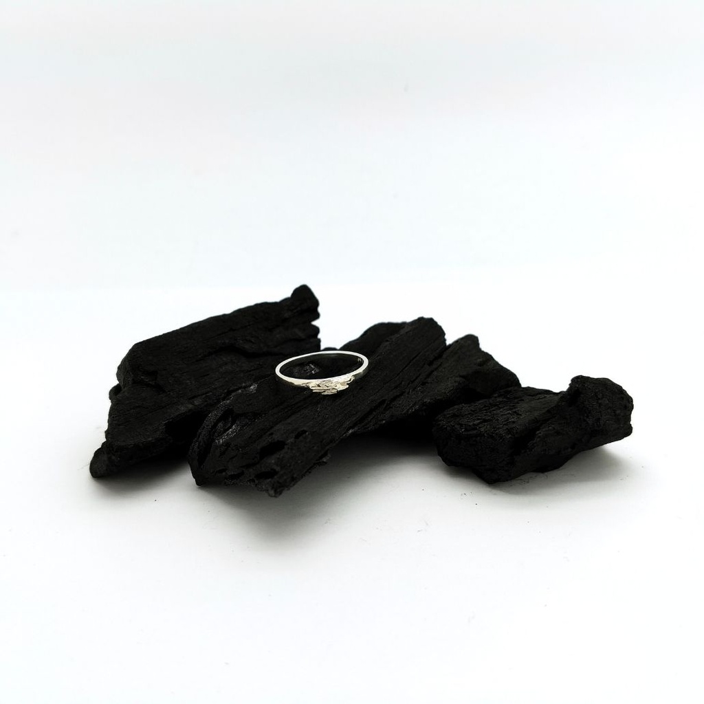 Force et fragilité - Bague S