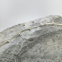 Coquelicots - Bracelet articulé - fleur sur tige