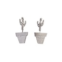 Cactus - Oorstekers en kleine pot