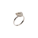 Intenties veranderen - Ring