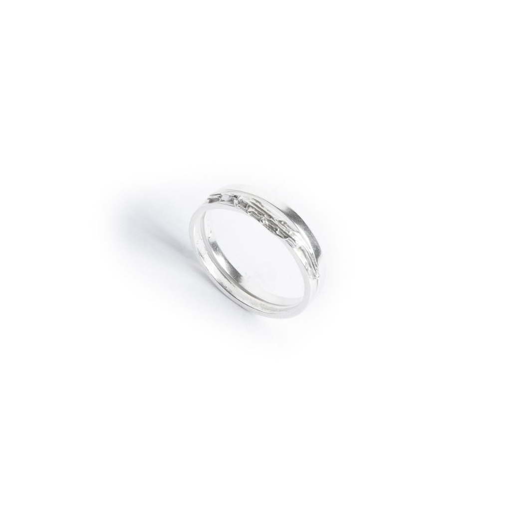 De kwetsbare kracht - Dubbele Ringen