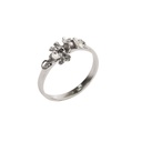 De liefdesbanden - Ring