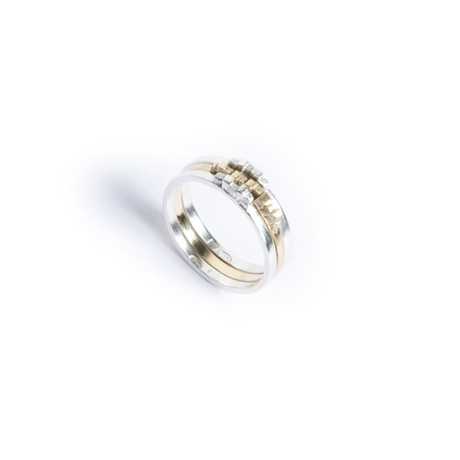 Ronduit - 3 Ringen - 2 zilver 1 verguld
