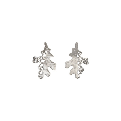 Cycle -  BO Perceuse