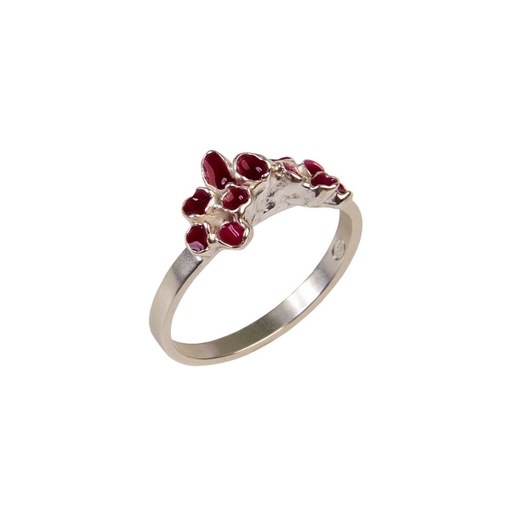 Plezier - Ring S